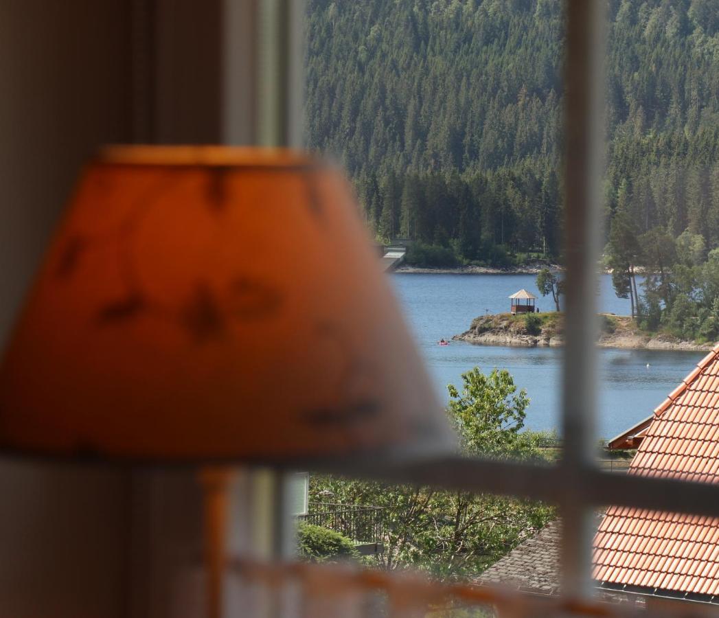 Landhaus-Vintage Fe-Wo-Apartment 5 Schluchsee Εξωτερικό φωτογραφία