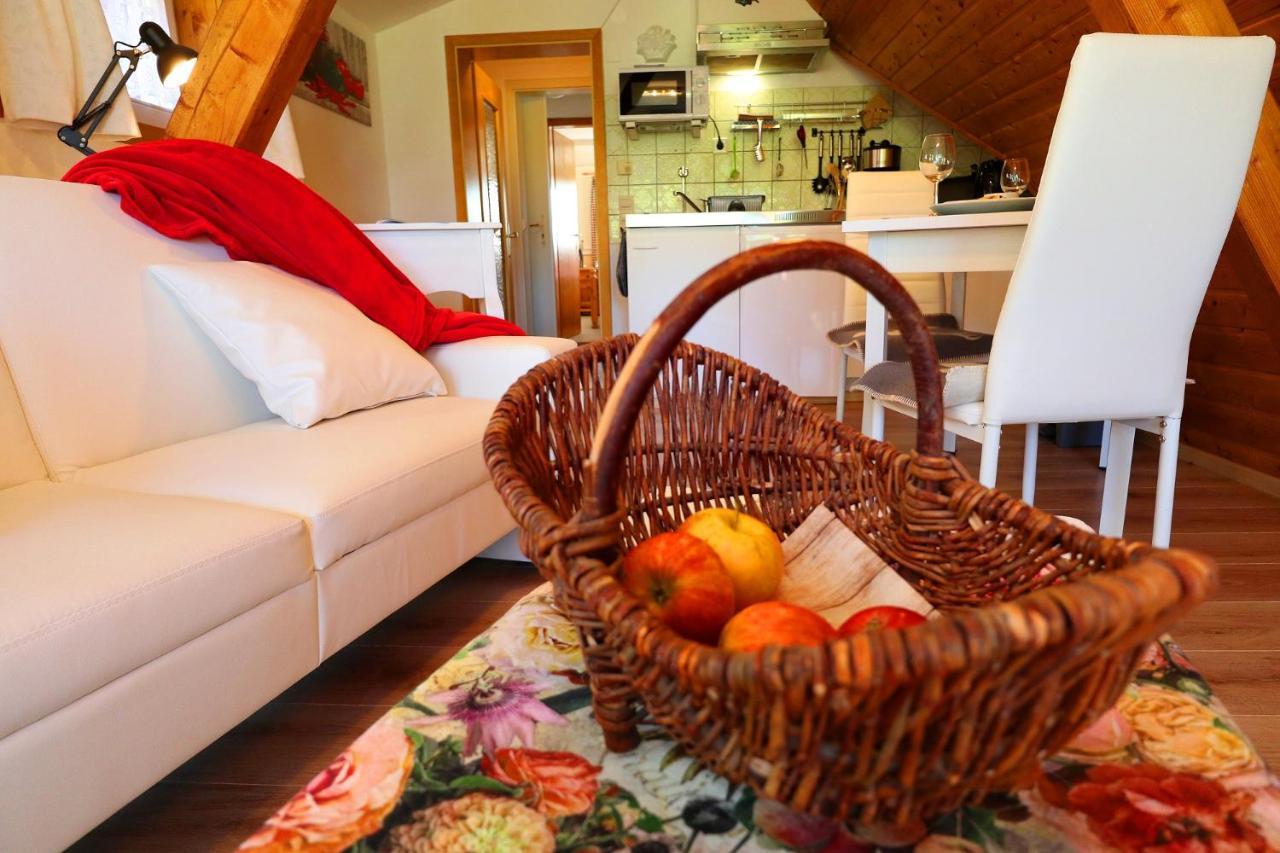 Landhaus-Vintage Fe-Wo-Apartment 5 Schluchsee Εξωτερικό φωτογραφία